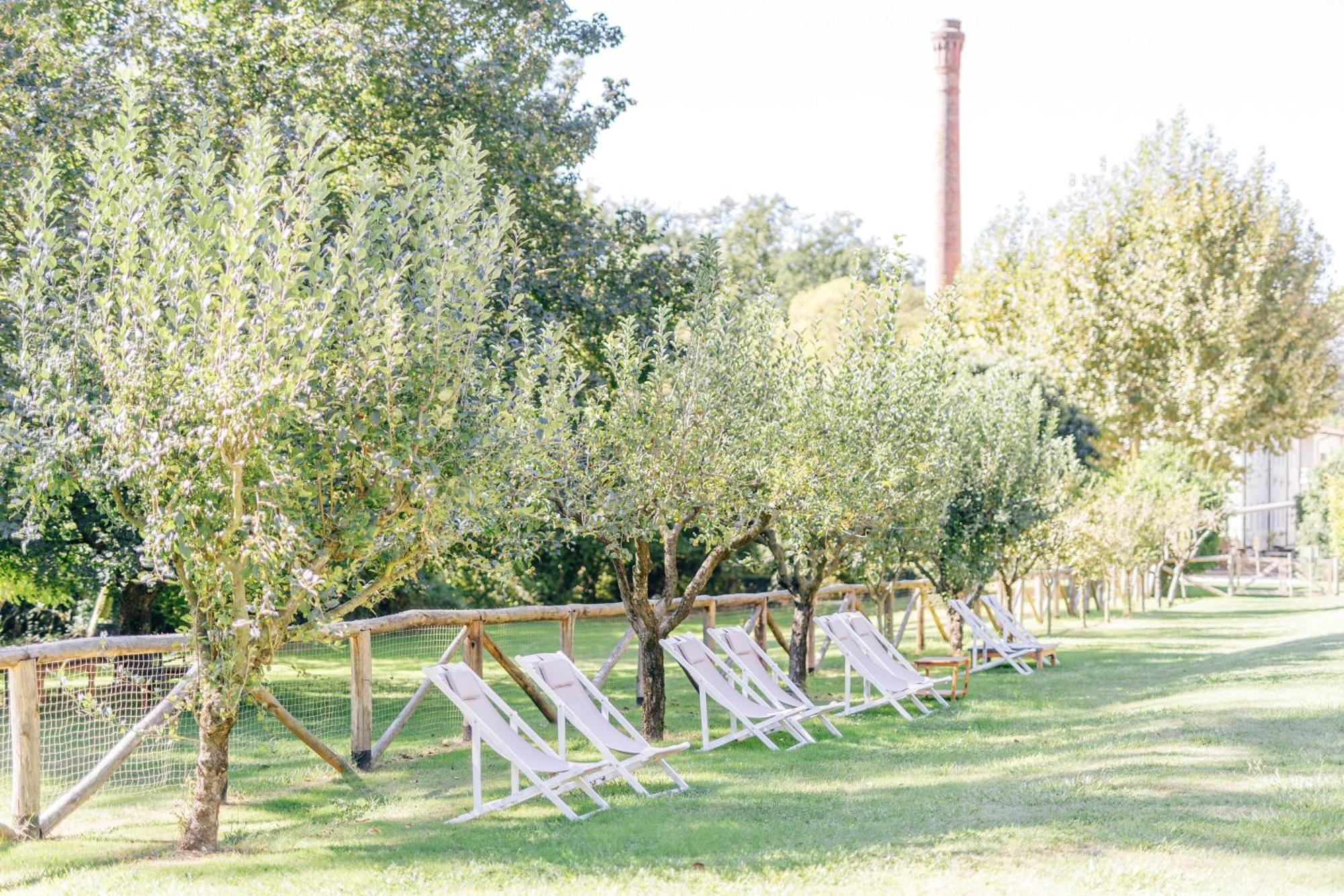 Villa La Bianca Camaiore Εξωτερικό φωτογραφία