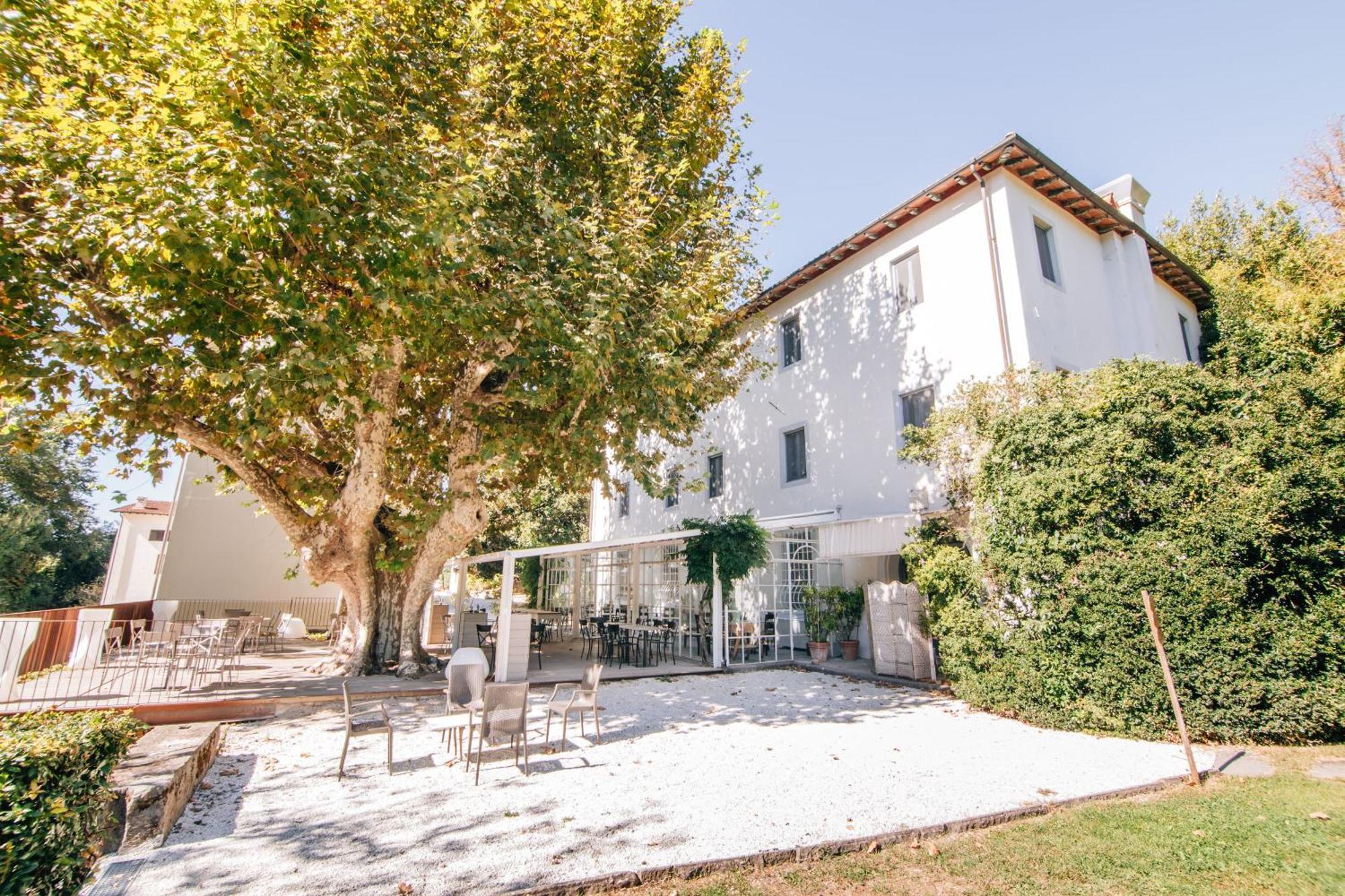 Villa La Bianca Camaiore Εξωτερικό φωτογραφία