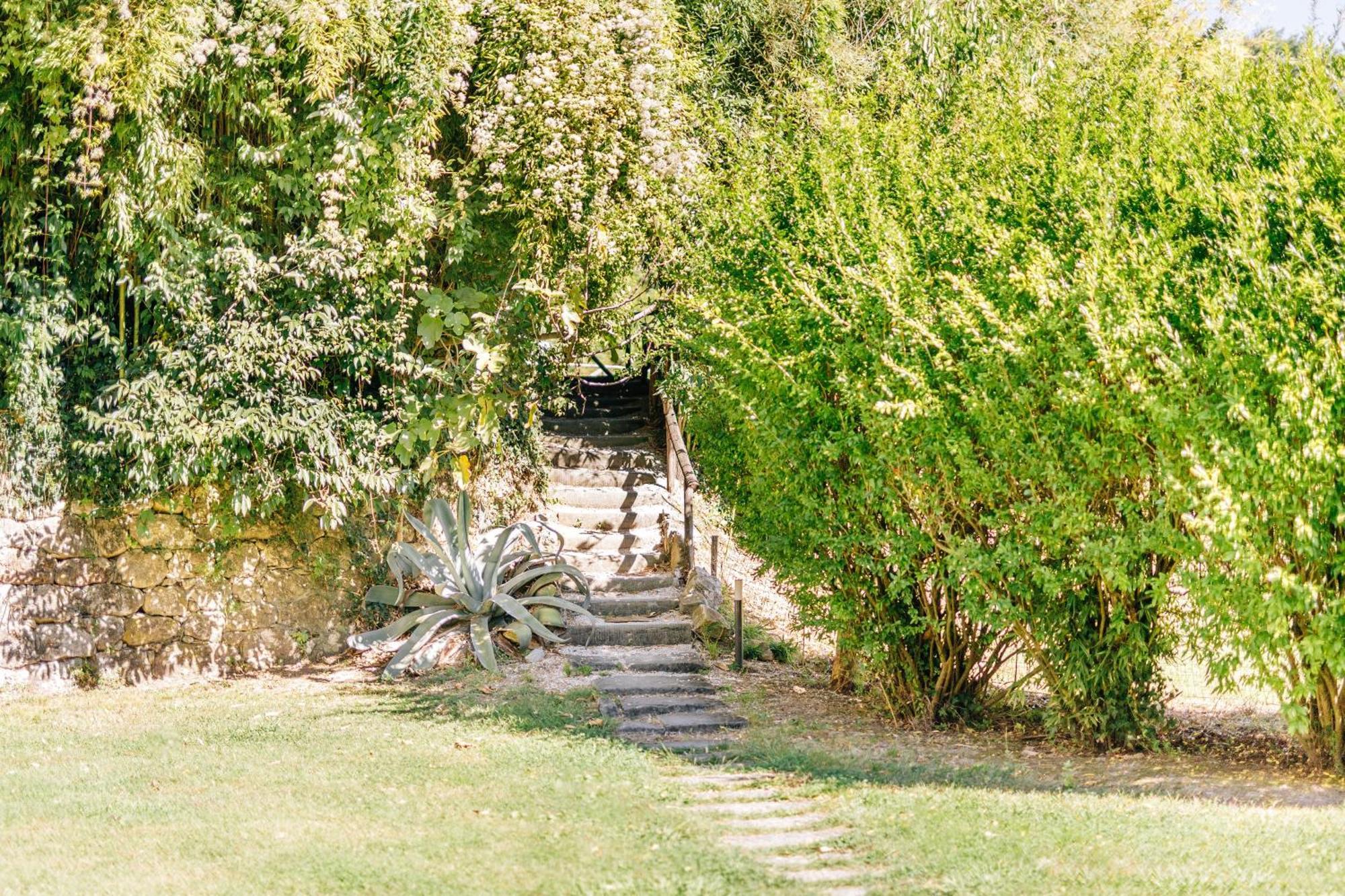 Villa La Bianca Camaiore Εξωτερικό φωτογραφία