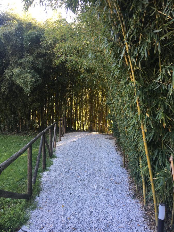 Villa La Bianca Camaiore Εξωτερικό φωτογραφία